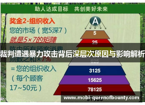 裁判遭遇暴力攻击背后深层次原因与影响解析