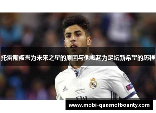 托雷斯被誉为未来之星的原因与他崛起为足坛新希望的历程 托雷斯被誉为未来之星的原因与他崛起为足坛新希望的历程