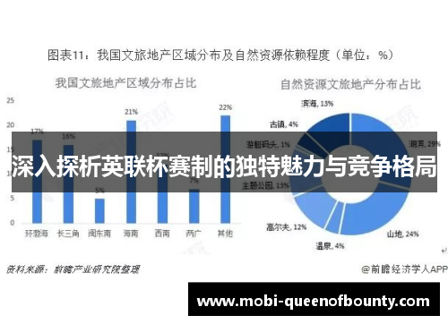 深入探析英联杯赛制的独特魅力与竞争格局