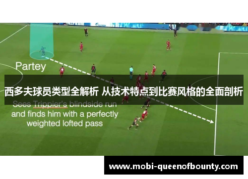西多夫球员类型全解析 从技术特点到比赛风格的全面剖析