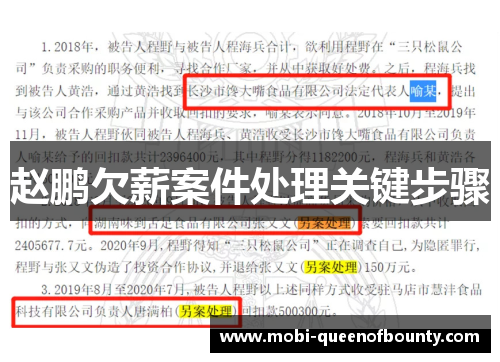 赵鹏欠薪案件处理关键步骤