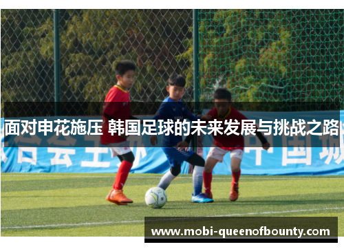 面对申花施压 韩国足球的未来发展与挑战之路