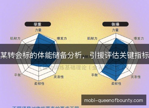 某转会标的体能储备分析，引援评估关键指标